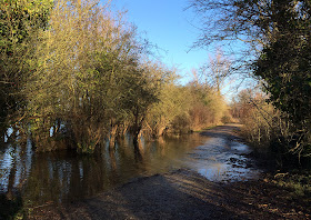 Path between The Ocean and Roaden Island Lake.  Leybourne Lakes, 2 January 2014.