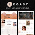 Legasy - Beauty & Spa WordPress Theme Review