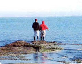 Pohang Jigyeong-ri Fishing Ground