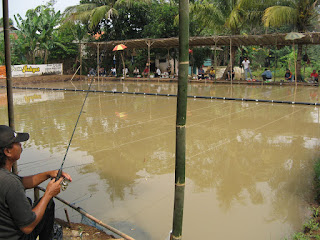 Jika anda hobi memancing anda pasti mencari daerah atau bak pemancingan yang airnya jern Nah ! Umpan Ikan Mas Air Coklat Super Terbaik