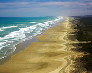 New Zealand Beach Wallpaper