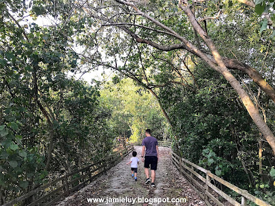 Sungei Buloh Wetland Reserve