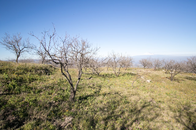 Azienda Tutto tonda