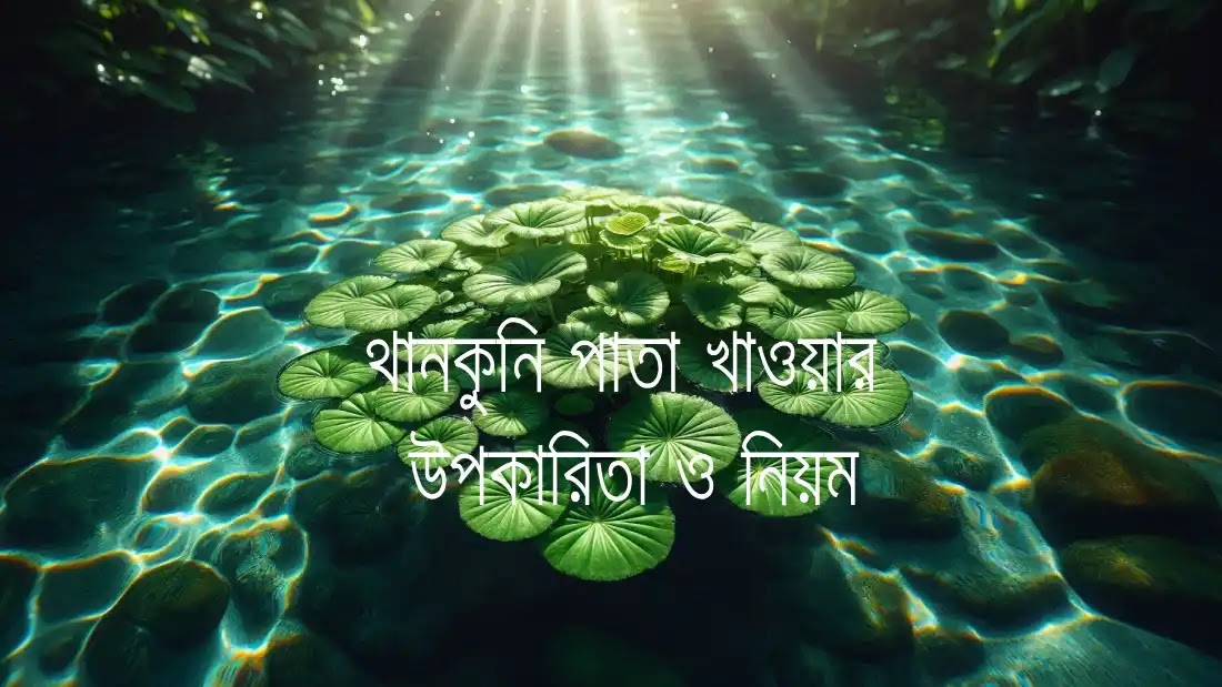 থানকুনি-পাতার-উপকারিতা-ও-খাওয়ার-নিয়ম