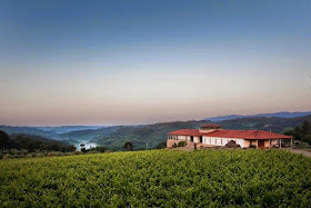 Divulgação: Quinta de Lemos apresentou sete novos vinhos da colheita 2010 - reservarecomendada.blogspot.pt