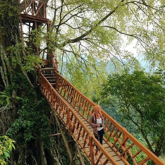 rumah pohon curug ciherang