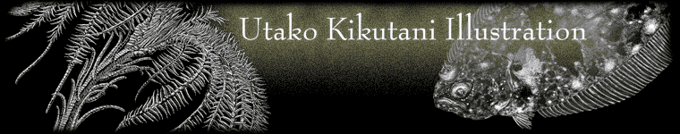Utako Kikutani Illustration