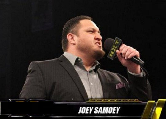 Samoa Joe Hd Free Wallpapers