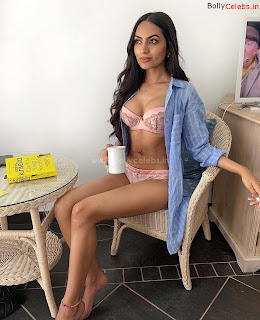 Nikki Rai   Beautiful Indian Model Stunning Gallery Collection in  Bikini  2019 18 ~ bollycelebs.in Exclusive Pics 22.jpg