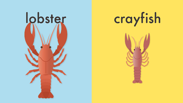lobster と crayfish の違い