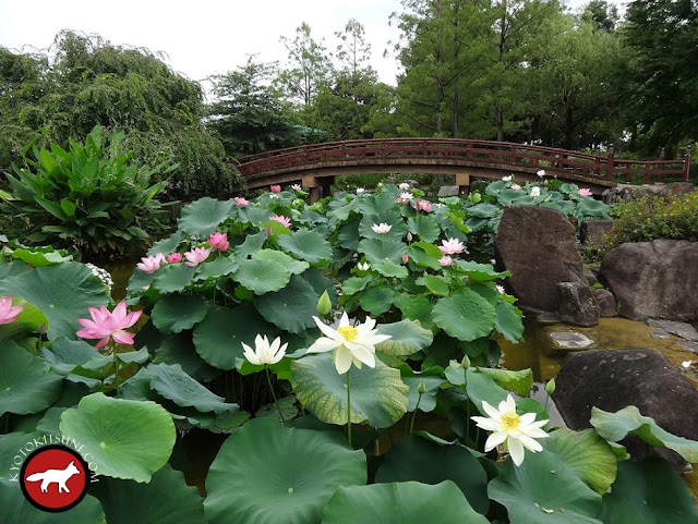 Jardin mizunomori du lac Biwa