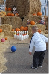 Galloping Grace Pumpkin Patch 056