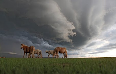 The National Geographic images, The National Geographic photos, The National Geographic photogallery, The National Geographic pictures, The National Geographic