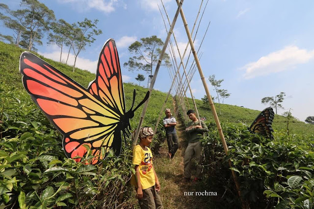 lembah katresnan kemuning