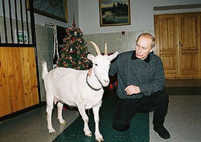 Cute Photo of Vladimir Putin with Animal Seen On  www.coolpicturegallery.us