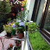 OUR BALCONY AND GARDEN / KERT ÉS ERKÉLY