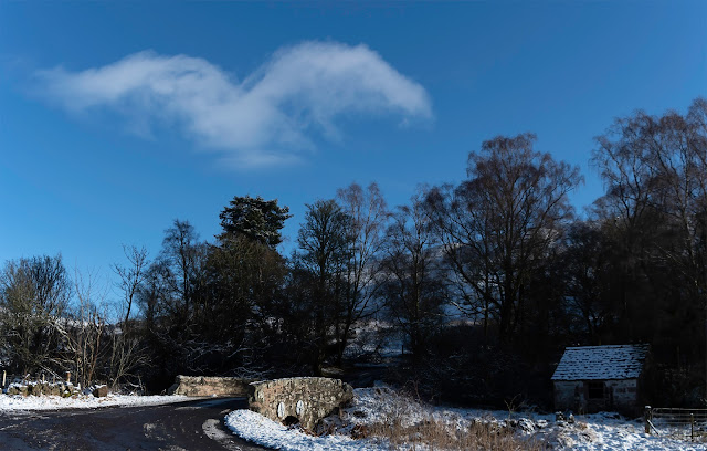 Cloud shaped like a bird