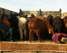 uzbekistan khiva markets, uzbekistan livestock markets, uzbekistan tours