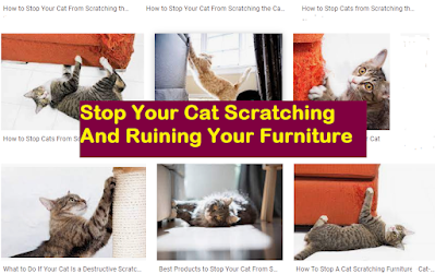 Cat Scratching