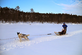 Husky Sled on Lake Inari, Finland