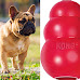 The Best Toys For French Bulldogs in The United States