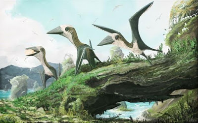 Fosil Spesies Baru Pterosaurus Kecil Ditemukan