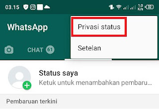 Cara Membuat Status  Di WA  Agar Tidak  Terlihat Orang  Lain  