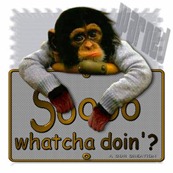 monkey whatcha doing