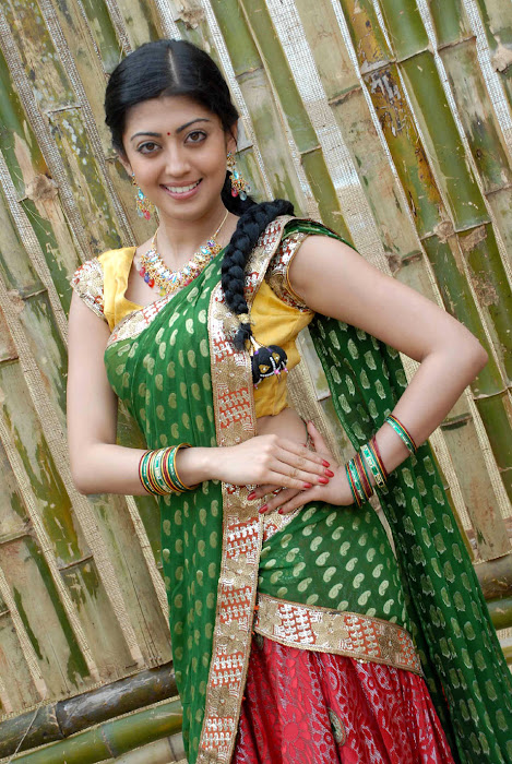 pranitha saree , pranitha new in saree hot images