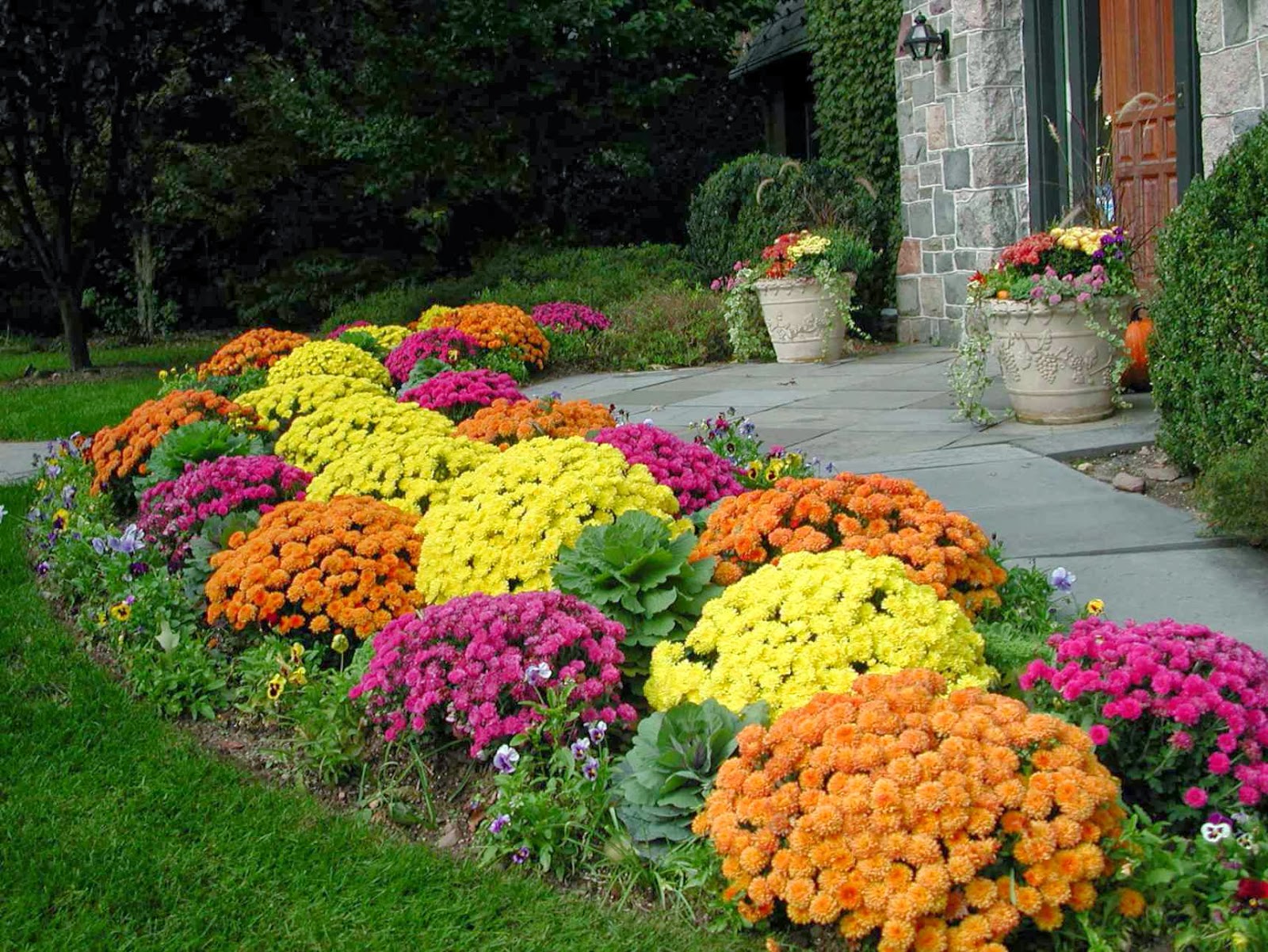 Planting flowers For Fall