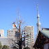 Touring the Tokyo Skytree - Temple, Ice Skating and City Lights