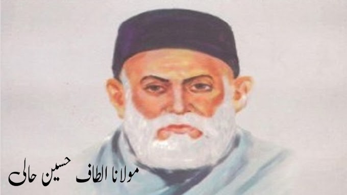 Urdu poet writer Altaf Hussain Hali