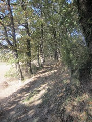 IMG_3153