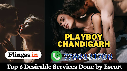 Playboy Chandigarh