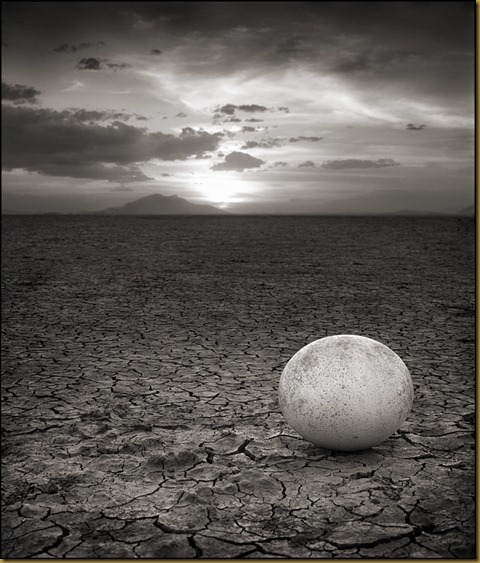 Nick Brandt9