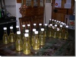 elderflower cordial