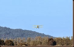 Tiger Moth Landing