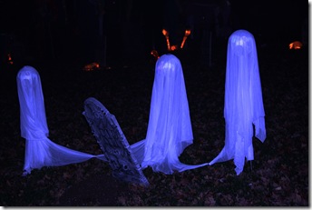 Halloween 2009 162