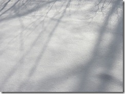 snow landscape