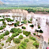 La inclemente lluvia de junio / Notas de San Fabián de Alico