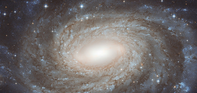 Spiral Galaxy NGC 6384