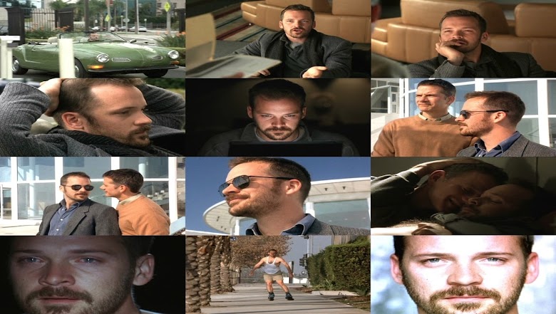 The Dying Gaul 2005 online subtitulado