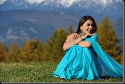 hanshika_motwani_in_blue_saree
