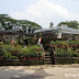 Jacky Lim Nursery