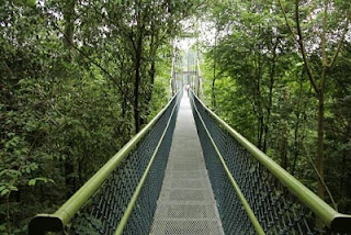 macritchie singapore