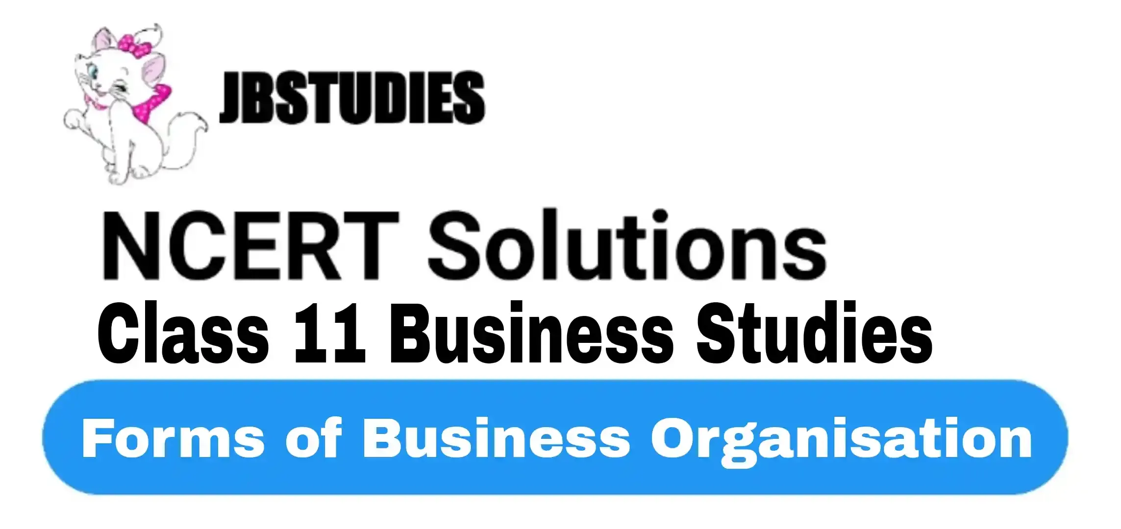 Solutions Class 11 Business Studies Chapter -2 (Forms of Business Organisation)