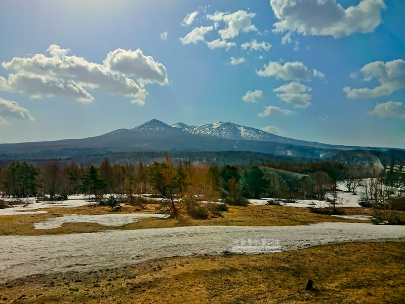 青森滑雪場,八甲田滑雪場,日本樹冰