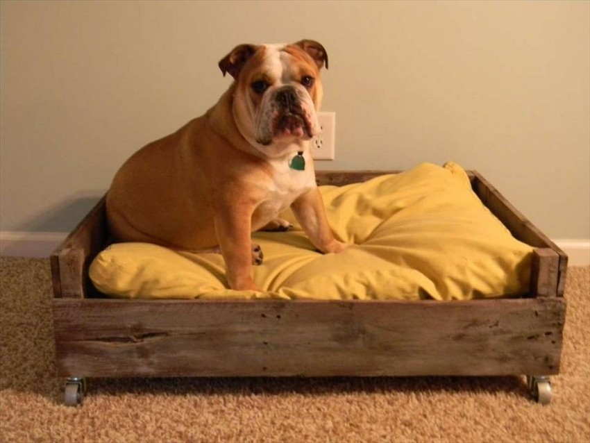 DIY Pallet Dog Bed Ideas Make At Home - Pallets Platform