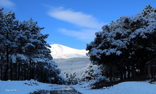 Jérez del Marquesado, Picón, nieve, Sierra Nevada