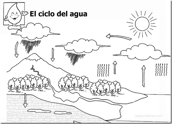 ciclo del agua5